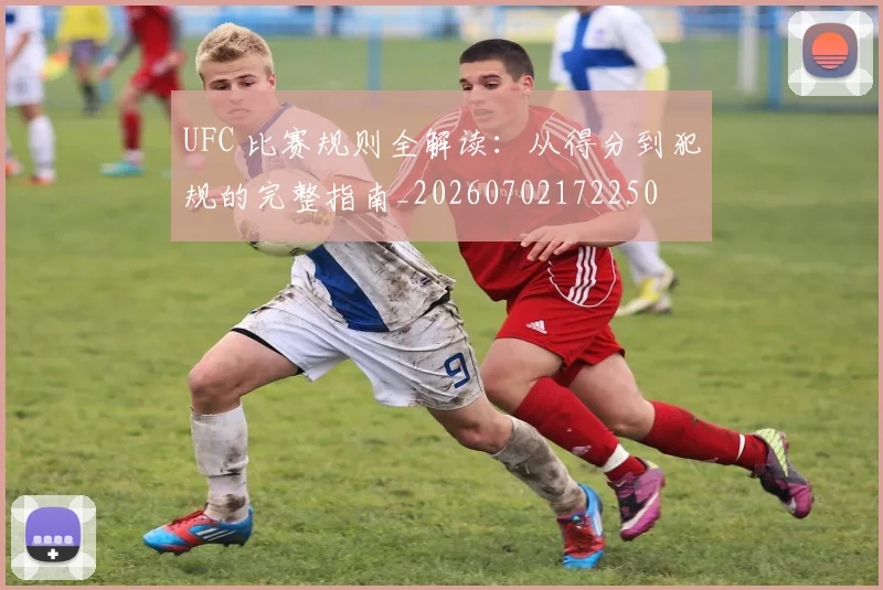 UFC 比赛规则全解读：从得分到犯规的完整指南_20260702172250