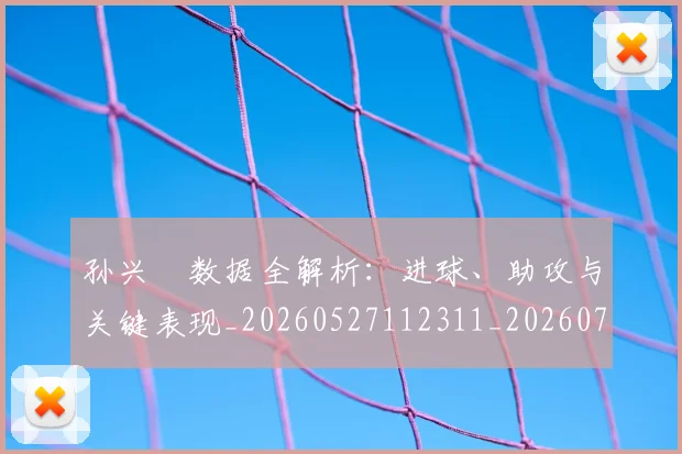 孙兴慜数据全解析：进球、助攻与关键表现_20260527112311_20260703233309