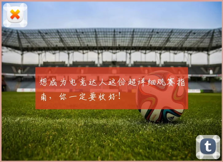 想成为电竞达人这份超详细观赛指南,你一定要收好!
